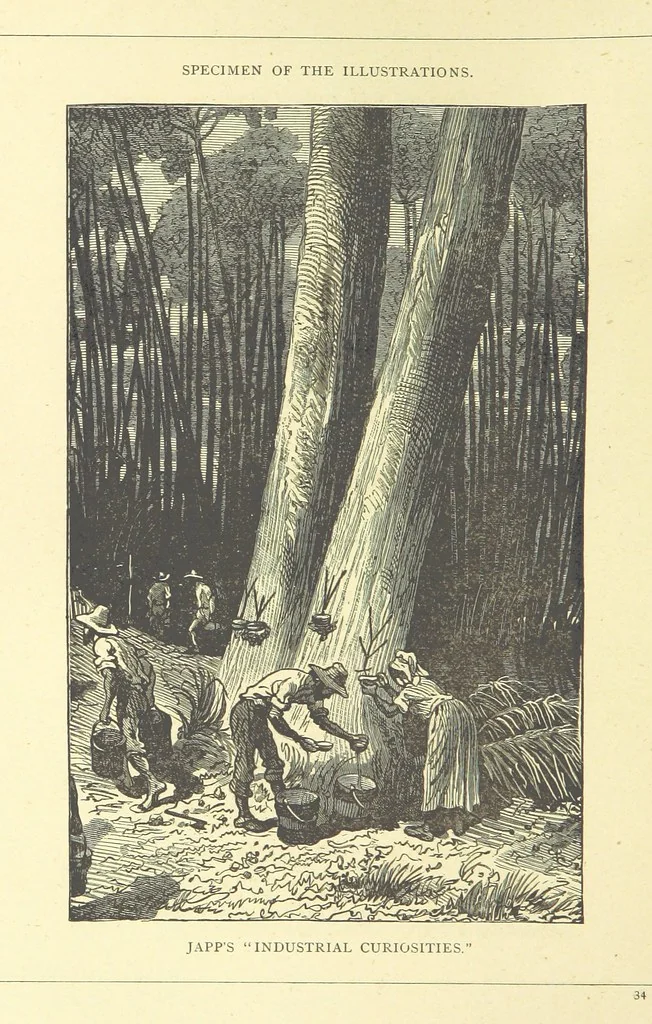 An illustration from The Adventures of Robinson Crusoe ... Newly edited after the original editions. With twenty illustrations by Kauffman. [Parts 1 and 2, abridged. With an introduction signed: S. R. B, 1884, leaf 394