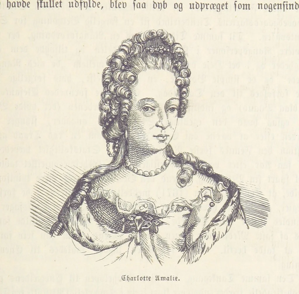 An illustration from Danmarks, Norges og Sverigs Historie, populært fremstillet efter de bedste trykte Kilder [by N. Bache] ... Med 253 Illustrationer i Træsnit, 1867, leaf 135