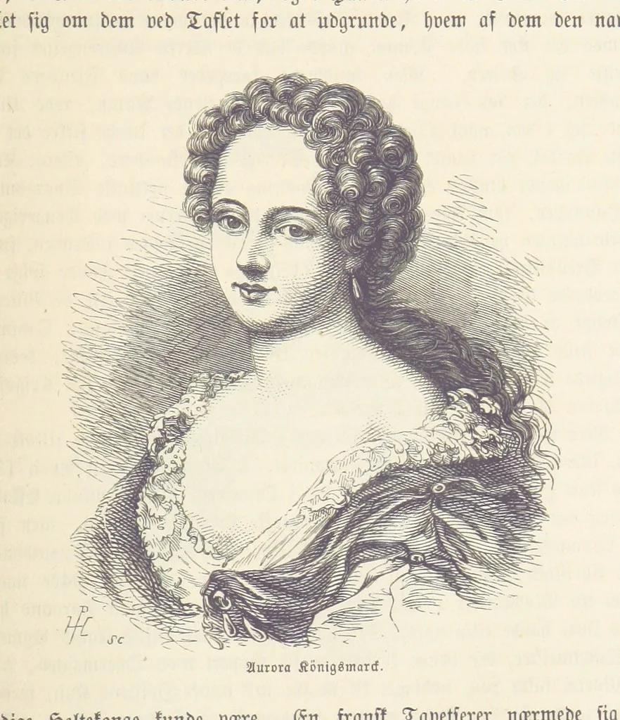 An illustration from Danmarks, Norges og Sverigs Historie, populært fremstillet efter de bedste trykte Kilder [by N. Bache] ... Med 253 Illustrationer i Træsnit, 1867, leaf 333