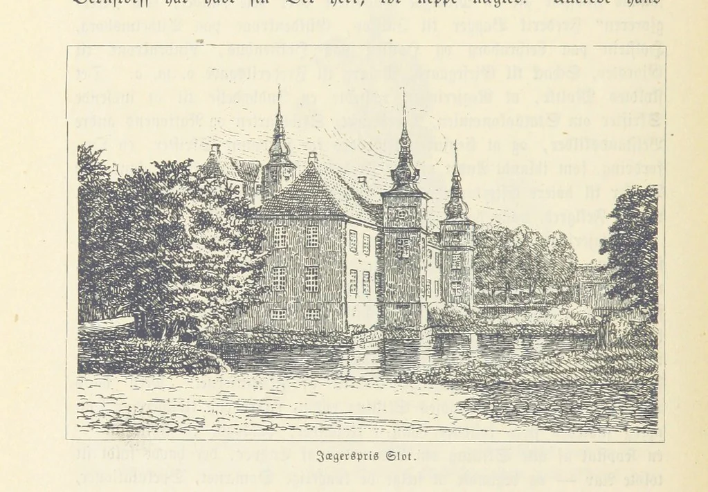An illustration from Danmarks, Norges og Sverigs Historie, populært fremstillet efter de bedste trykte Kilder [by N. Bache] ... Med 253 Illustrationer i Træsnit, 1867, leaf 446