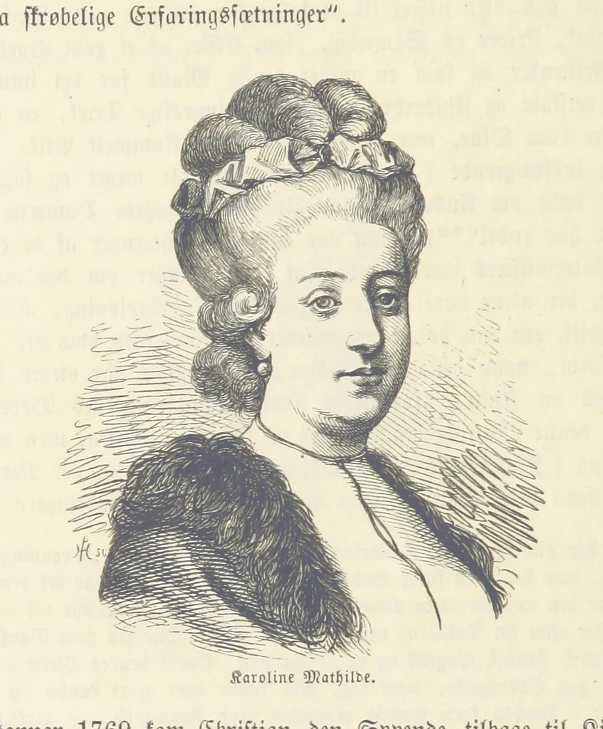 An illustration from Danmarks, Norges og Sverigs Historie, populært fremstillet efter de bedste trykte Kilder [by N. Bache] ... Med 253 Illustrationer i Træsnit, 1867, leaf 454