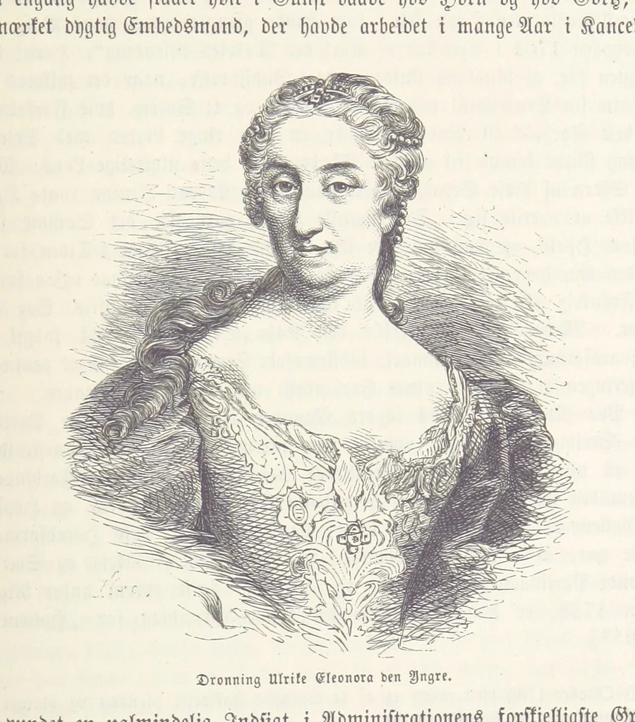 An illustration from Danmarks, Norges og Sverigs Historie, populært fremstillet efter de bedste trykte Kilder [by N. Bache] ... Med 253 Illustrationer i Træsnit, 1867, leaf 497