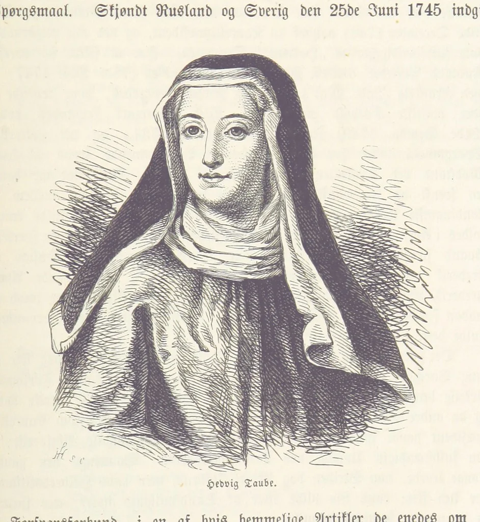 An illustration from Danmarks, Norges og Sverigs Historie, populært fremstillet efter de bedste trykte Kilder [by N. Bache] ... Med 253 Illustrationer i Træsnit, 1867, leaf 521