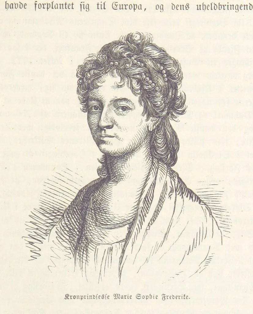 An illustration from Danmarks, Norges og Sverigs Historie, populært fremstillet efter de bedste trykte Kilder [by N. Bache] ... Med 253 Illustrationer i Træsnit, 1867, leaf 27