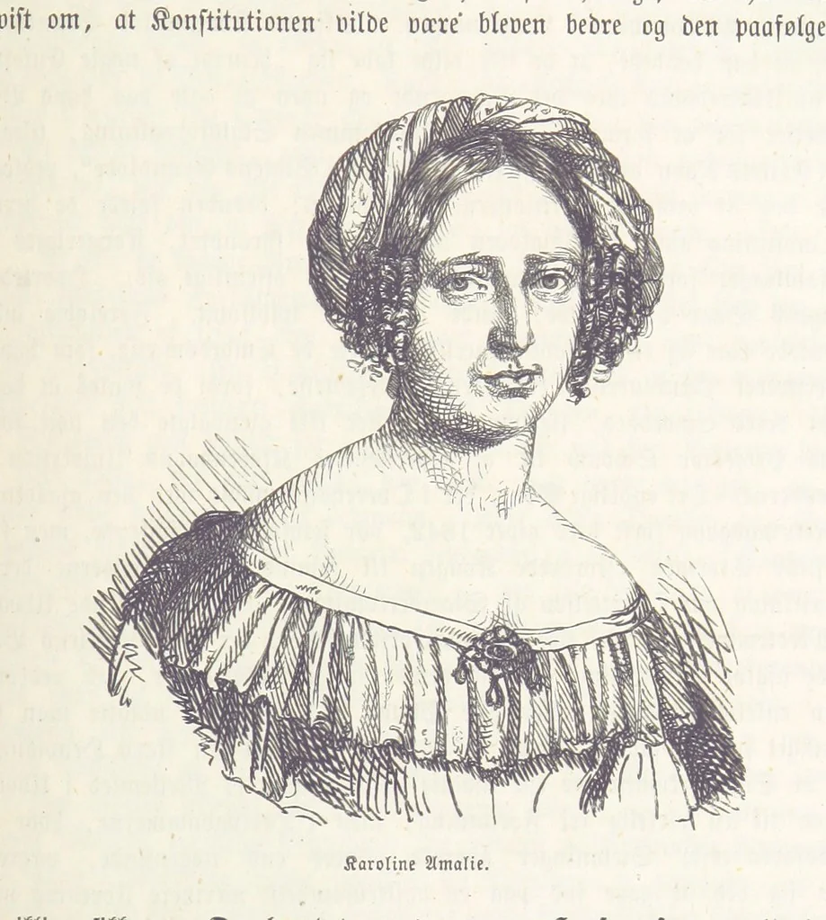 An illustration from Danmarks, Norges og Sverigs Historie, populært fremstillet efter de bedste trykte Kilder [by N. Bache] ... Med 253 Illustrationer i Træsnit, 1867, leaf 345