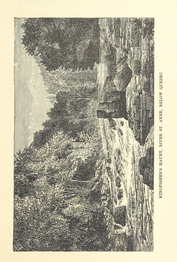 An illustration from The Last Forty Years: Canada since the union of 1841. [With plates, including portraits, 1881, leaf 133