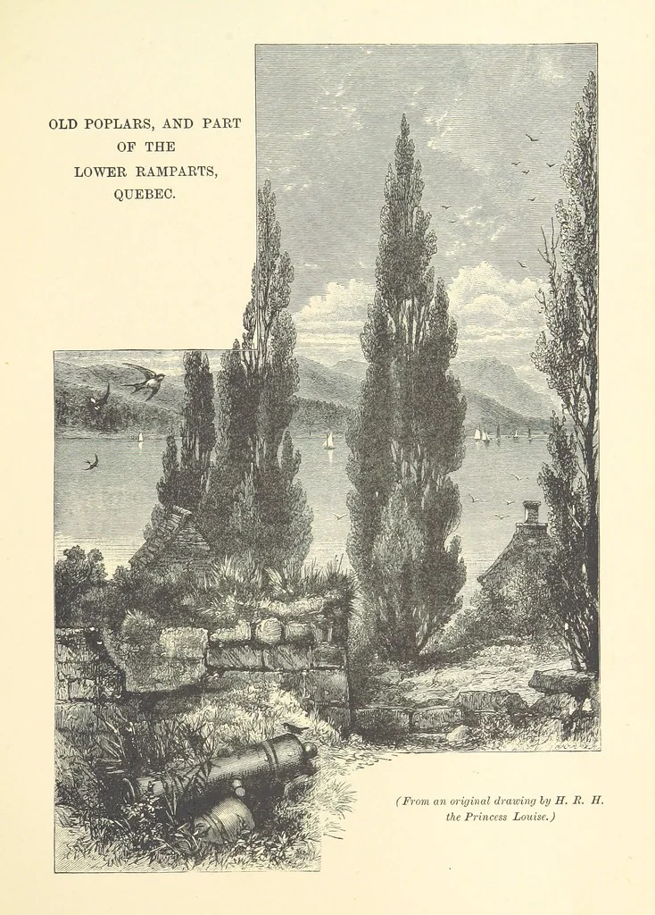 An illustration from The Last Forty Years: Canada since the union of 1841. [With plates, including portraits, 1881, leaf 245