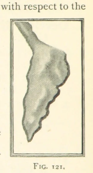 An illustration from Object Lessons in Geography for Standards I. II. & III, 1899, leaf 136