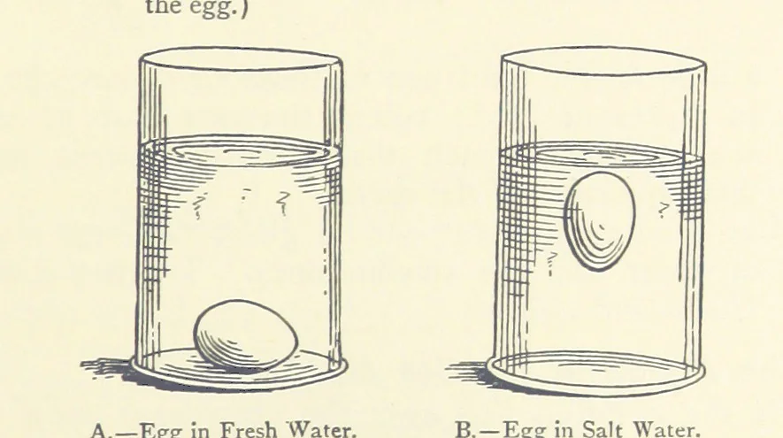 An illustration from Object Lessons in Geography for Standards I. II. & III, 1899, leaf 151