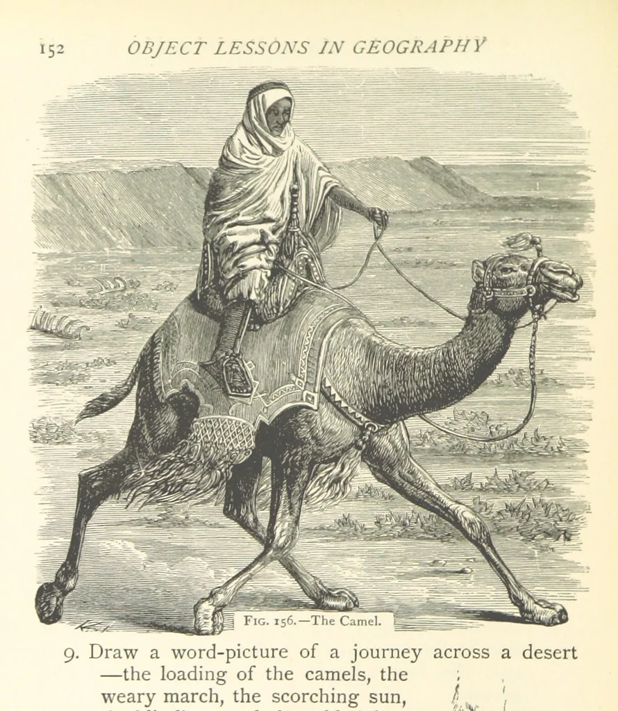 An illustration from Object Lessons in Geography for Standards I. II. & III, 1899, leaf 172