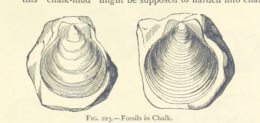 An illustration from Object Lessons in Geography for Standards I. II. & III, 1899, leaf 247