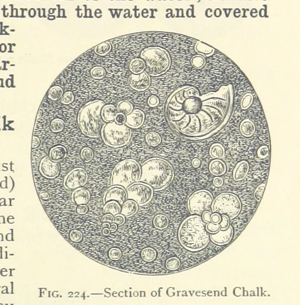 An illustration from Object Lessons in Geography for Standards I. II. & III, 1899, leaf 247