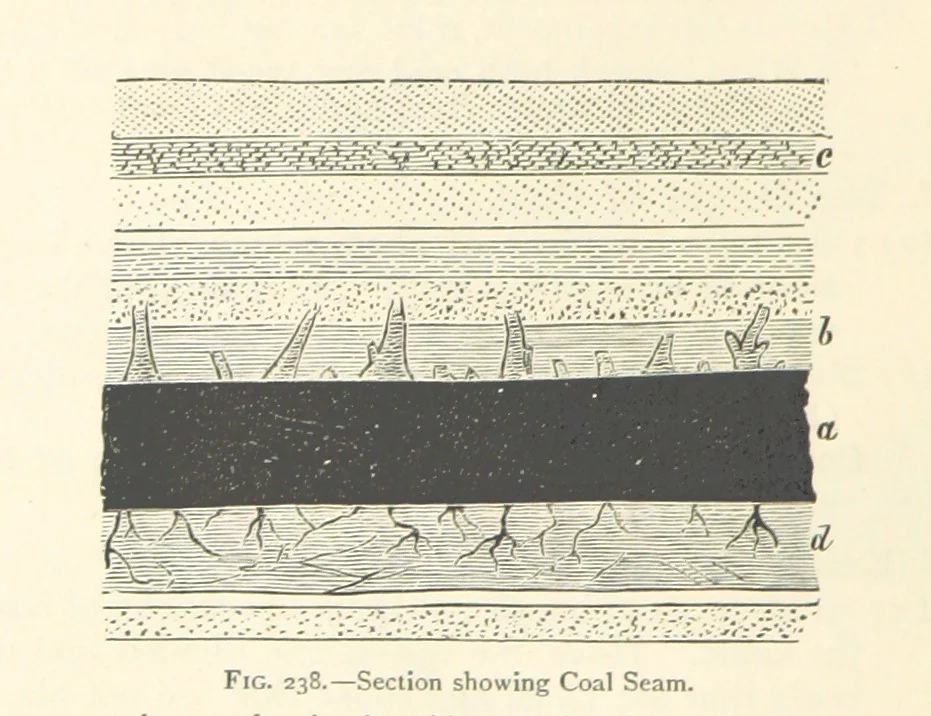 An illustration from Object Lessons in Geography for Standards I. II. & III, 1899, leaf 260