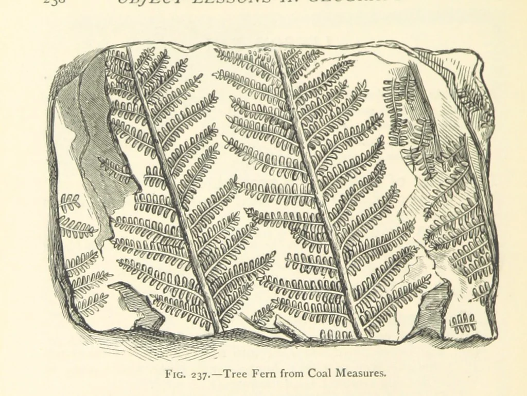 An illustration from Object Lessons in Geography for Standards I. II. & III, 1899, leaf 260