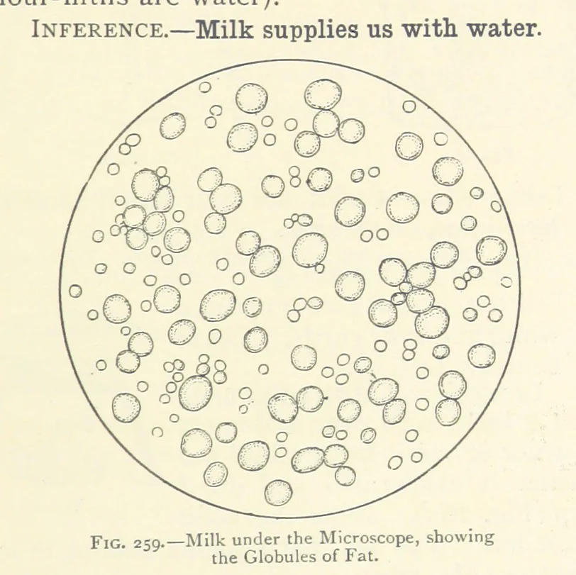 An illustration from Object Lessons in Geography for Standards I. II. & III, 1899, leaf 291