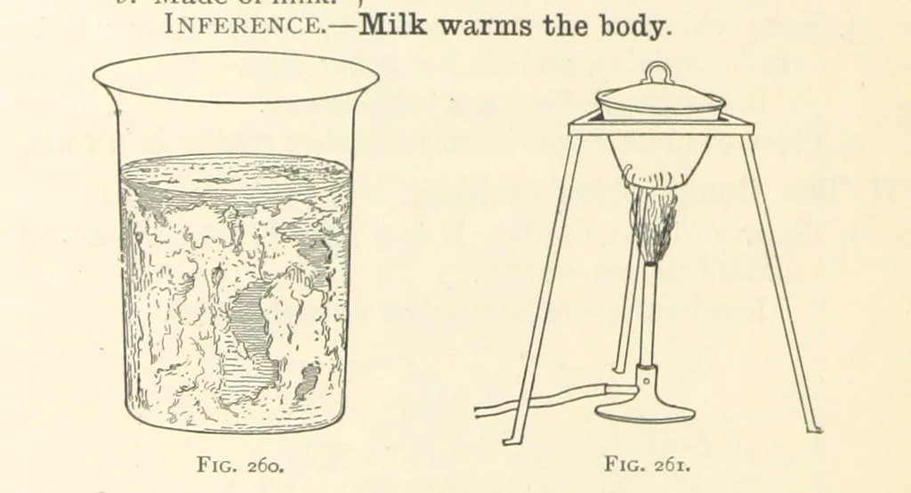 An illustration from Object Lessons in Geography for Standards I. II. & III, 1899, leaf 292