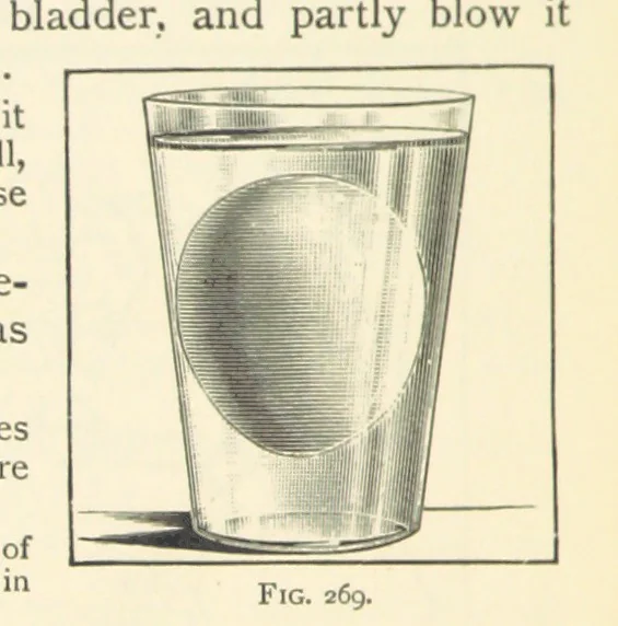An illustration from Object Lessons in Geography for Standards I. II. & III, 1899, leaf 300