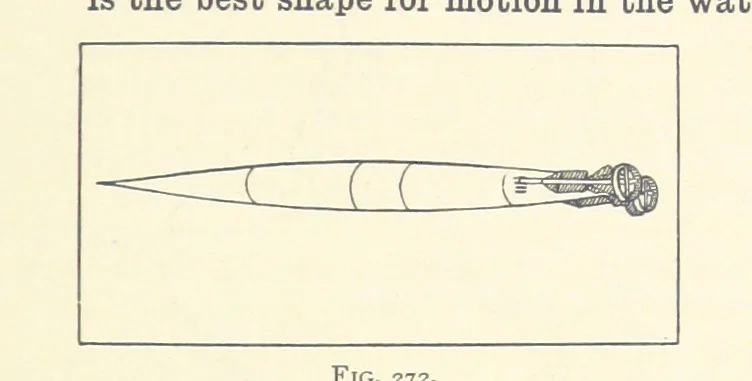 An illustration from Object Lessons in Geography for Standards I. II. & III, 1899, leaf 301