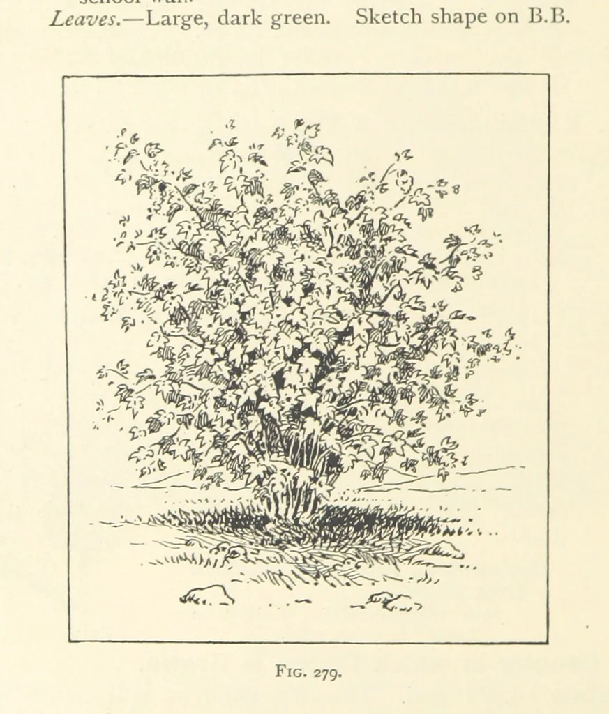 An illustration from Object Lessons in Geography for Standards I. II. & III, 1899, leaf 308