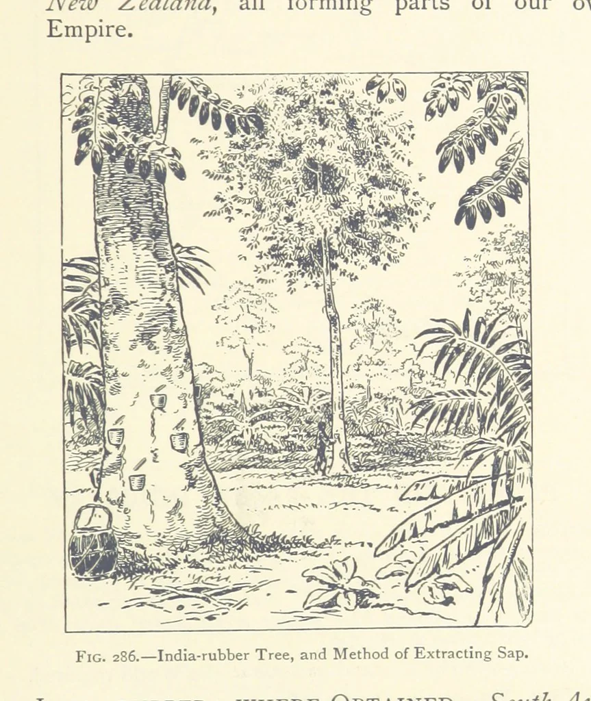 An illustration from Object Lessons in Geography for Standards I. II. & III, 1899, leaf 323