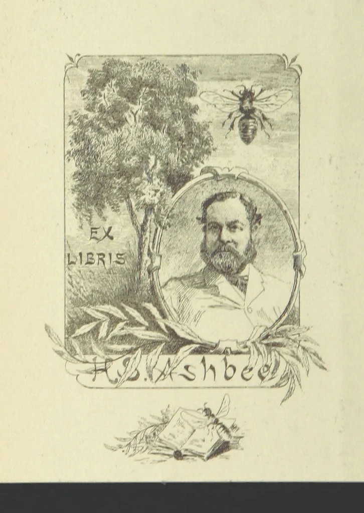 An illustration from Works of Charles Dickens. New illustrated library edition. [With a preface to each work by Edwin P. Whipple, leaf 2