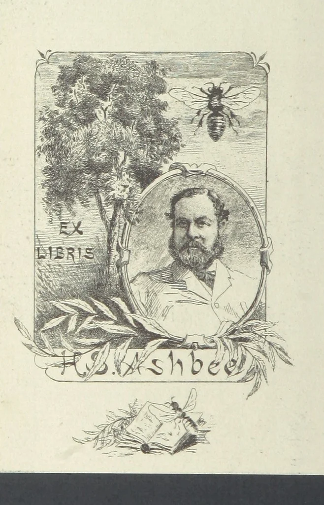 An illustration from Works of Charles Dickens. New illustrated library edition. [With a preface to each work by Edwin P. Whipple, leaf 2