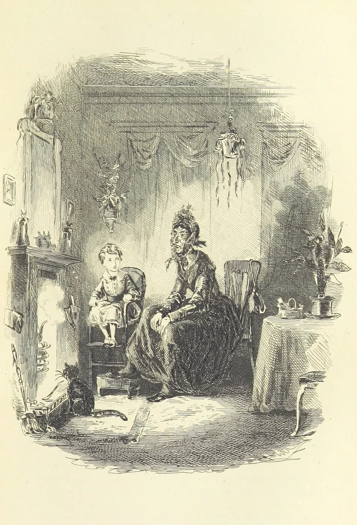 An illustration from Works of Charles Dickens. New illustrated library edition. [With a preface to each work by Edwin P. Whipple, leaf 163