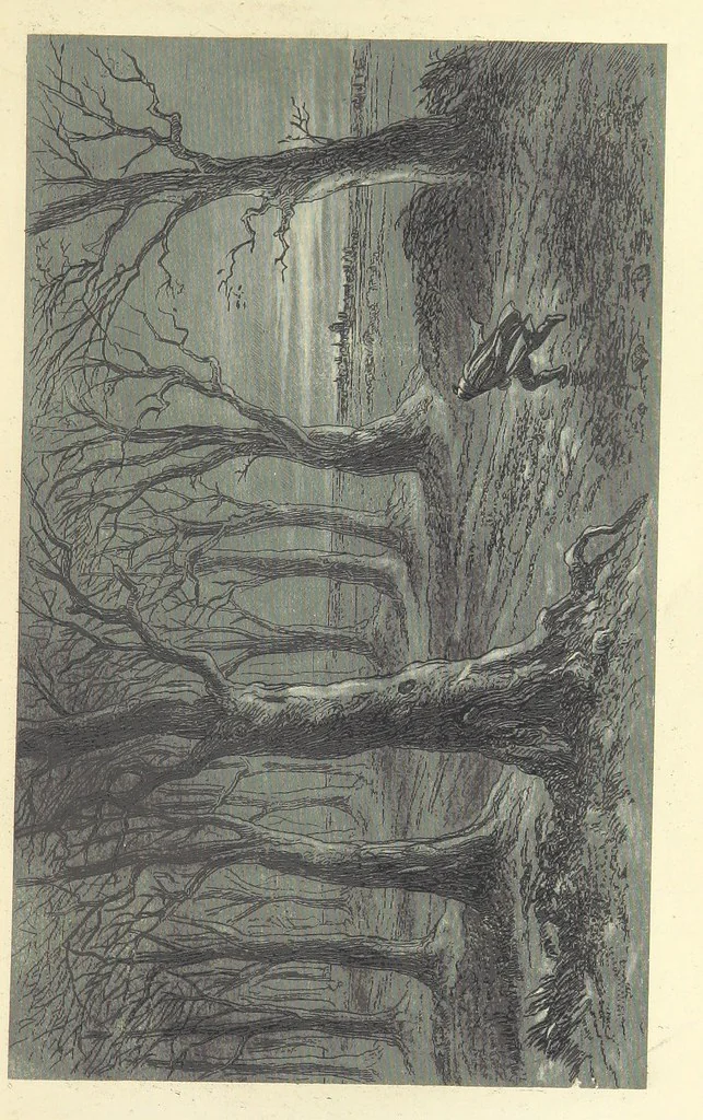 An illustration from Works of Charles Dickens. New illustrated library edition. [With a preface to each work by Edwin P. Whipple, leaf 197