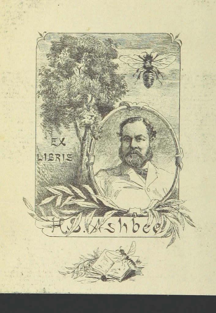 An illustration from Works of Charles Dickens. New illustrated library edition. [With a preface to each work by Edwin P. Whipple, leaf 2