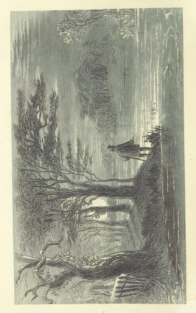 An illustration from Works of Charles Dickens. New illustrated library edition. [With a preface to each work by Edwin P. Whipple, leaf 448