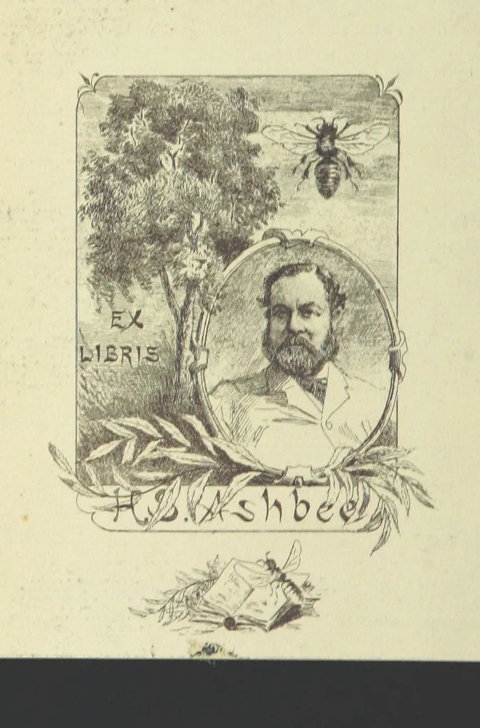 An illustration from Works of Charles Dickens. New illustrated library edition. [With a preface to each work by Edwin P. Whipple, leaf 2