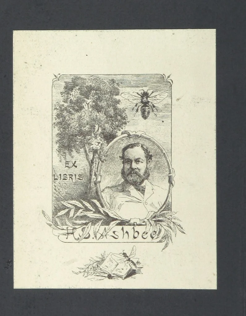 An illustration from Works of Charles Dickens. New illustrated library edition. [With a preface to each work by Edwin P. Whipple, leaf 2
