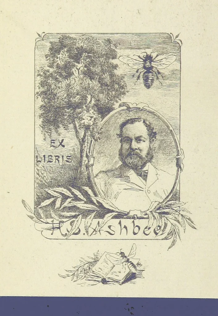 An illustration from Works of Charles Dickens. New illustrated library edition. [With a preface to each work by Edwin P. Whipple, leaf 2