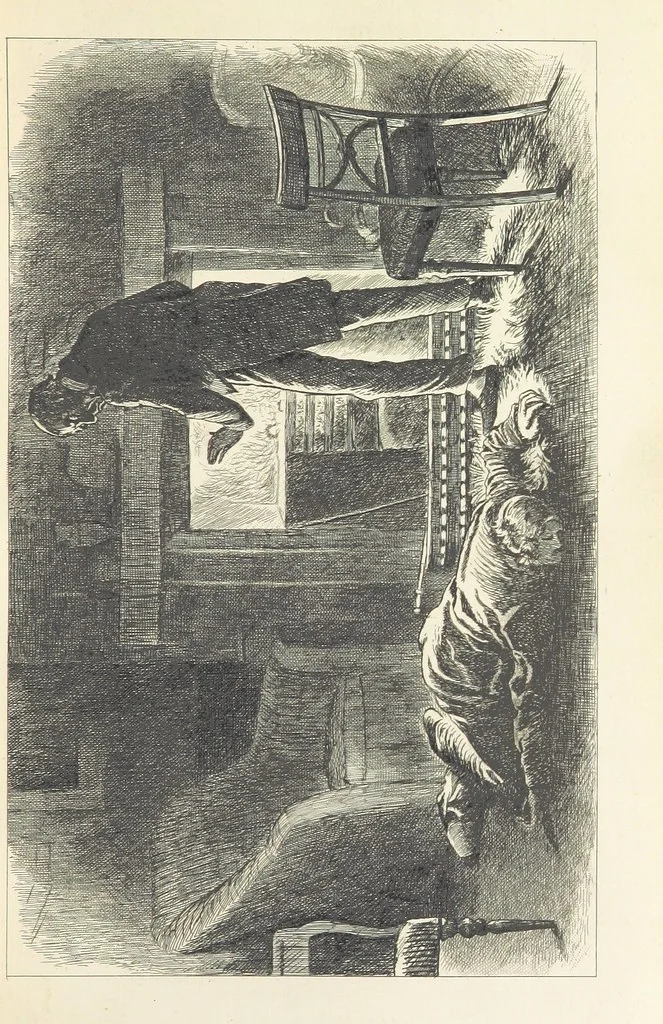 An illustration from Works of Charles Dickens. New illustrated library edition. [With a preface to each work by Edwin P. Whipple, leaf 235