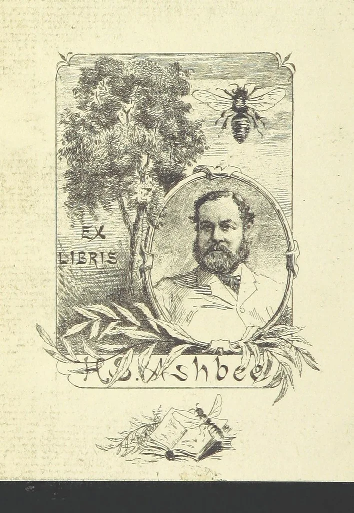 An illustration from Works of Charles Dickens. New illustrated library edition. [With a preface to each work by Edwin P. Whipple, leaf 2
