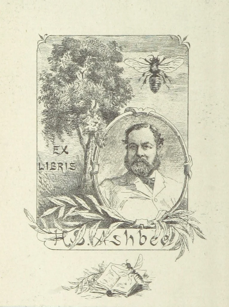 An illustration from Works of Charles Dickens. New illustrated library edition. [With a preface to each work by Edwin P. Whipple, leaf 2
