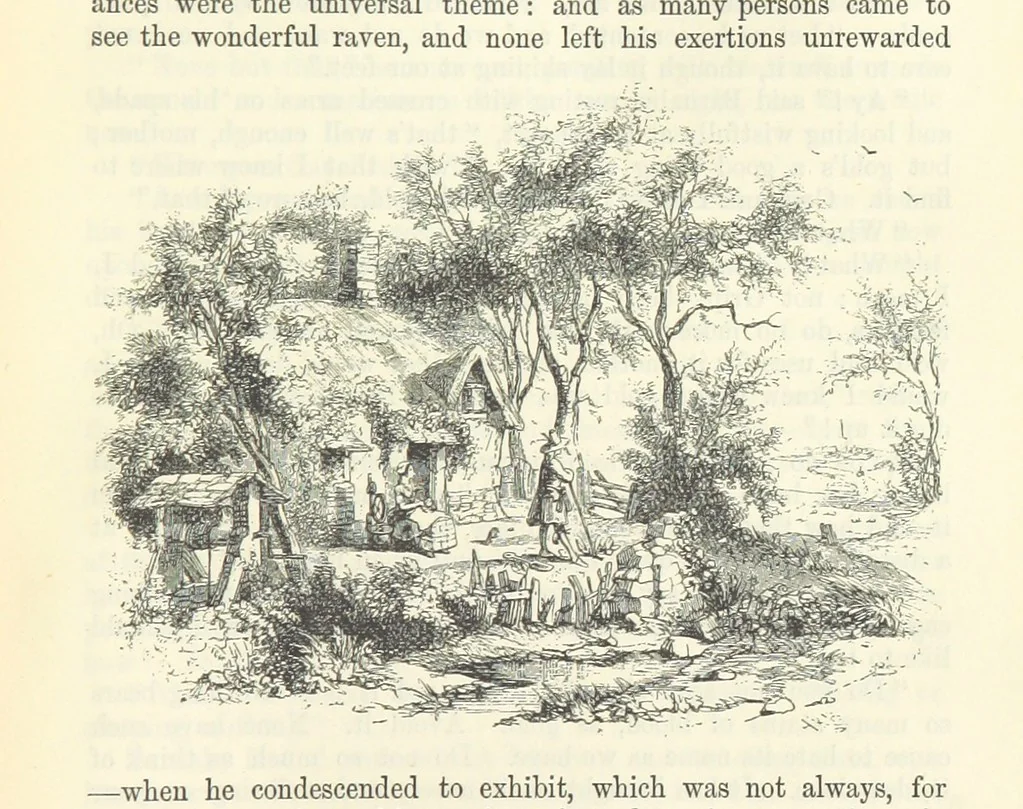 An illustration from The Letters of Charles Dickens. Edited by his sister-in-law and his eldest daughter, 1893, leaf 345