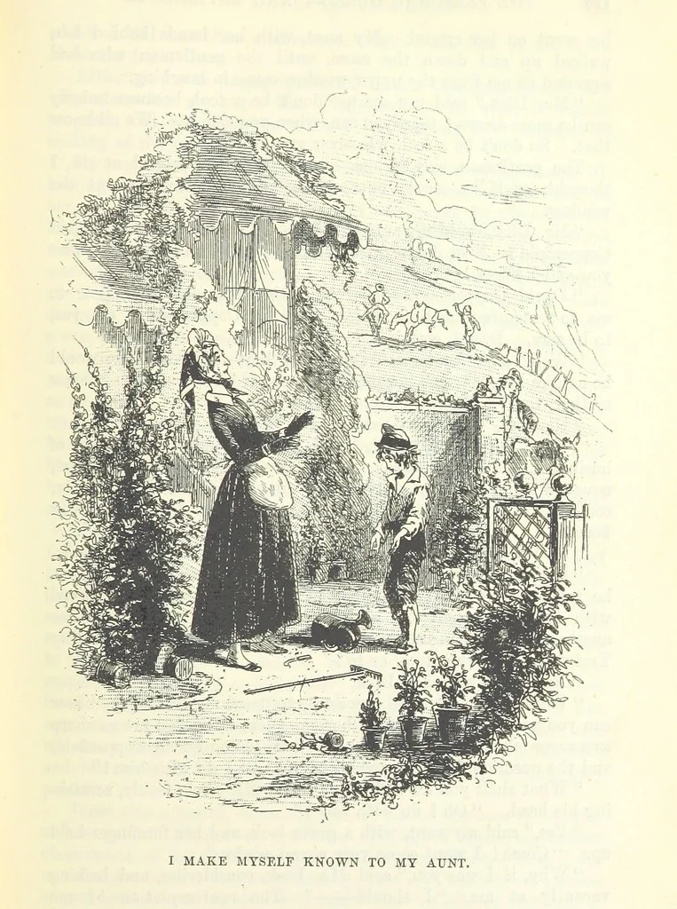 An illustration from The Letters of Charles Dickens. Edited by his sister-in-law and his eldest daughter, 1893, leaf 213