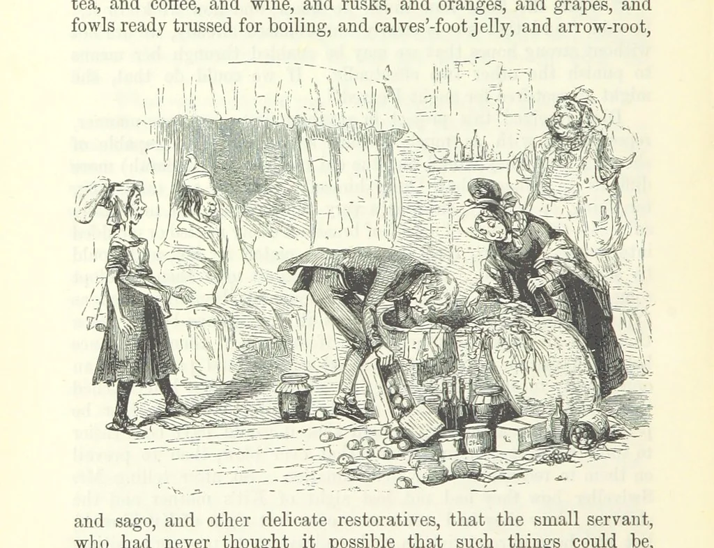 An illustration from The Letters of Charles Dickens. Edited by his sister-in-law and his eldest daughter, 1893, leaf 486