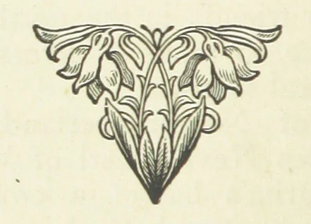 An illustration from Her Majesty's Tower. ... Seventh edition, etc, 1885, leaf 222