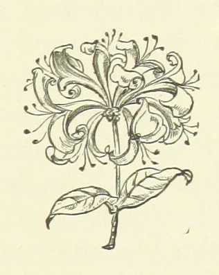 An illustration from Her Majesty's Tower. ... Seventh edition, etc, 1885, leaf 475