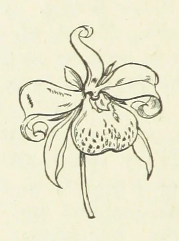 An illustration from Her Majesty's Tower. ... Seventh edition, etc, 1885, leaf 122