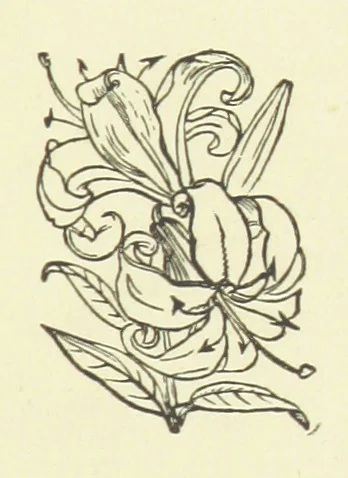 An illustration from Her Majesty's Tower. ... Seventh edition, etc, 1885, leaf 13