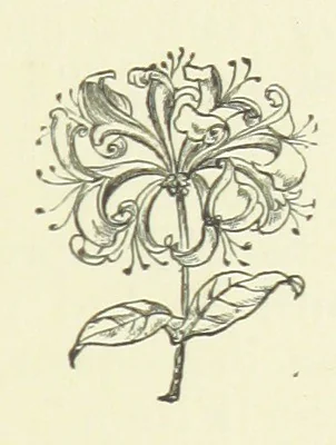An illustration from Her Majesty's Tower. ... Seventh edition, etc, 1885, leaf 207