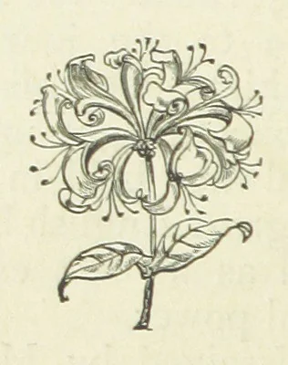 An illustration from Her Majesty's Tower. ... Seventh edition, etc, 1885, leaf 266