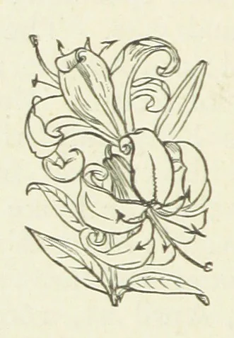 An illustration from Her Majesty's Tower. ... Seventh edition, etc, 1885, leaf 286