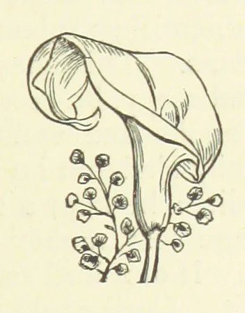 An illustration from Her Majesty's Tower. ... Seventh edition, etc, 1885, leaf 33