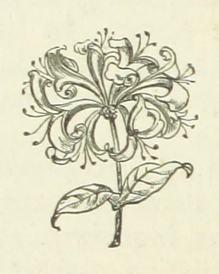An illustration from Her Majesty's Tower. ... Seventh edition, etc, 1885, leaf 382