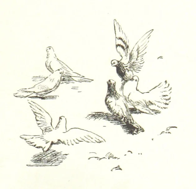 An illustration from Coridon's Song and other verses from various sources. With illustrations by Hugh Thomson ... With an introduction by Austin Dobson. L.P, 1894, leaf 139