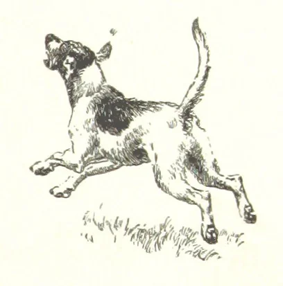 An illustration from Coridon's Song and other verses from various sources. With illustrations by Hugh Thomson ... With an introduction by Austin Dobson. L.P, 1894, leaf 139